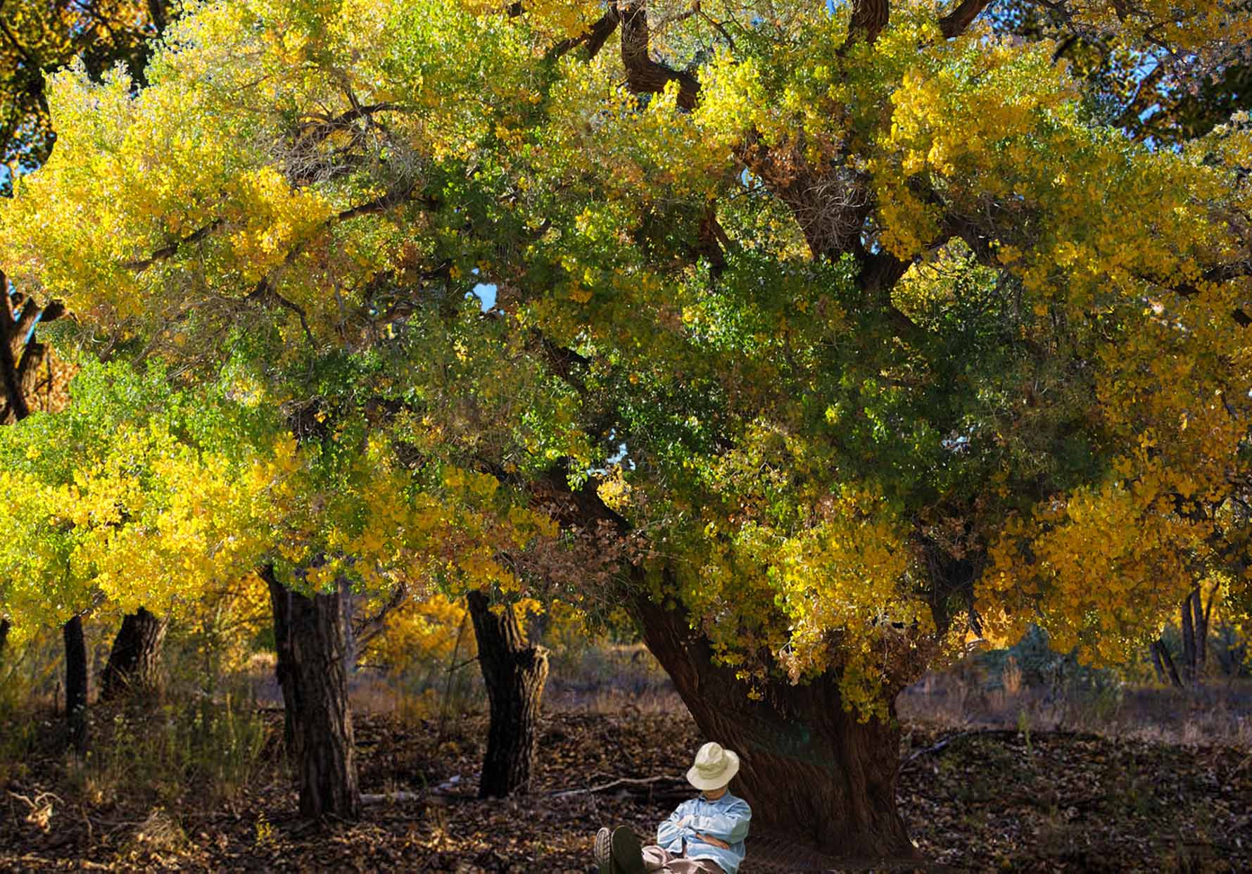 JARALES WINES Wines From 400+ year old New Mexico wine region