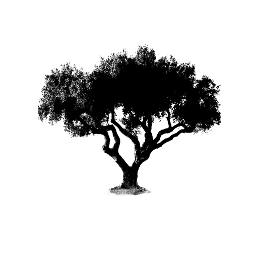 favicon JARALES WINES